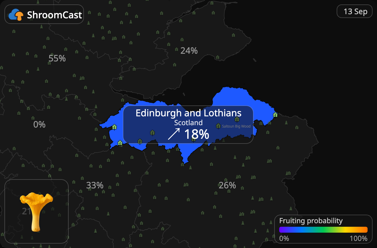 Kantarel Edinburgh and Lothians