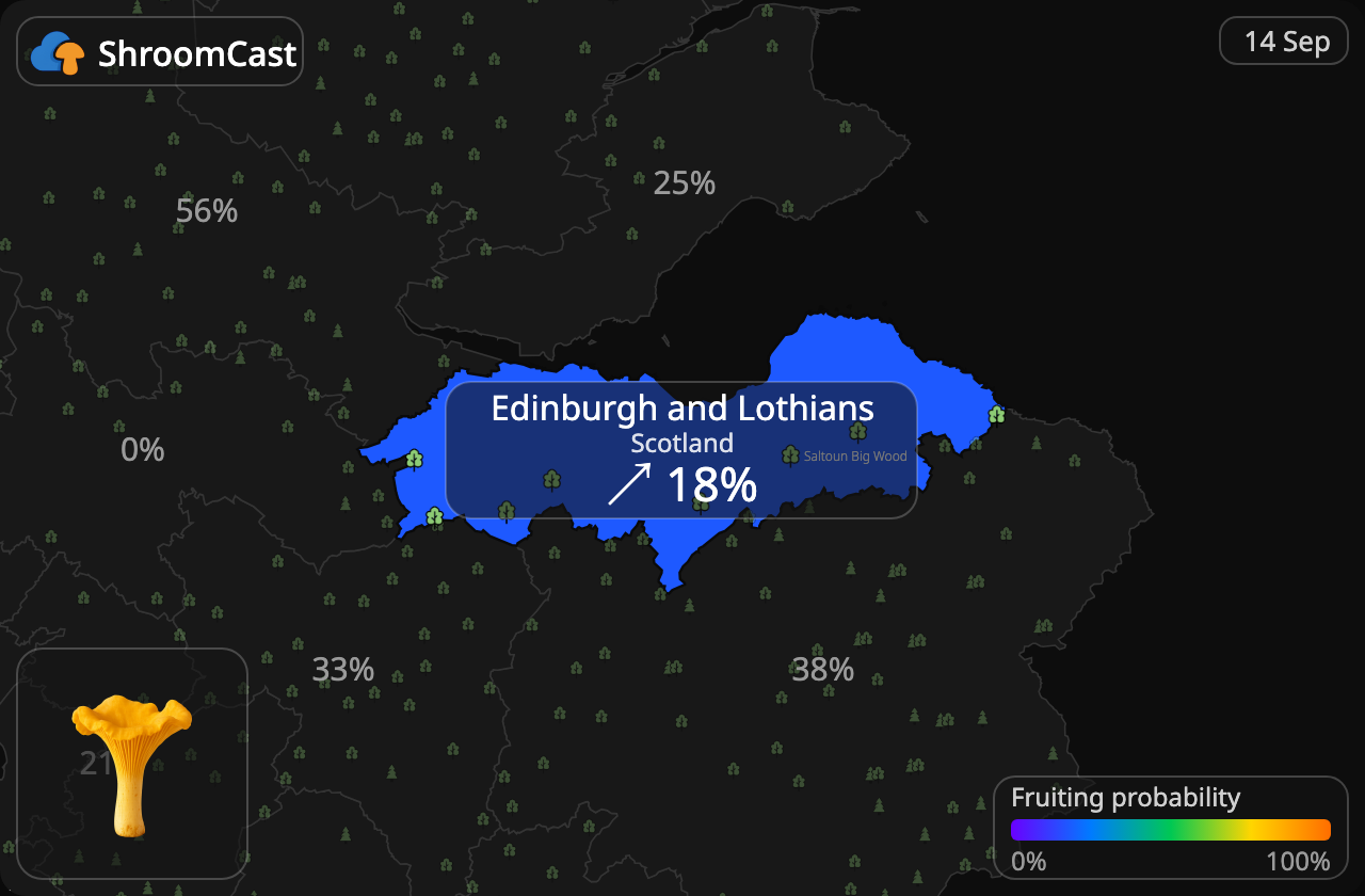 Cantharel Edinburgh and Lothians