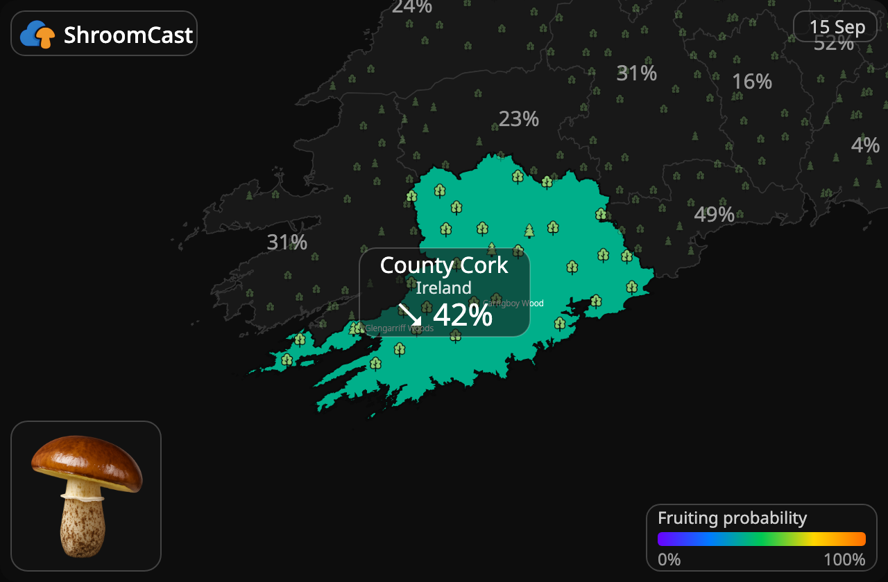 Smörsopp County Cork