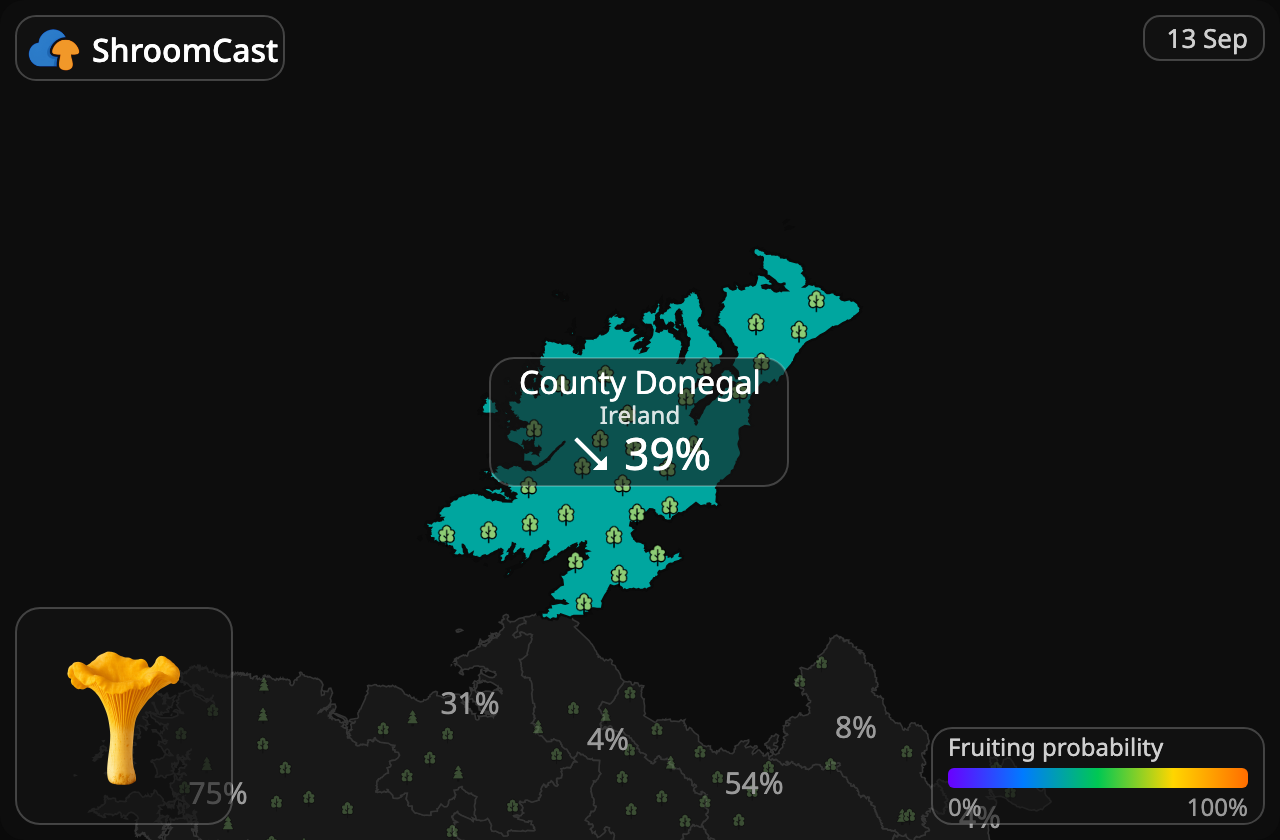 Girolle County Donegal