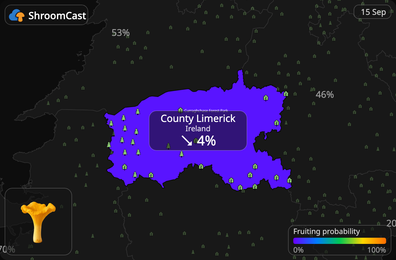 Kurka County Limerick