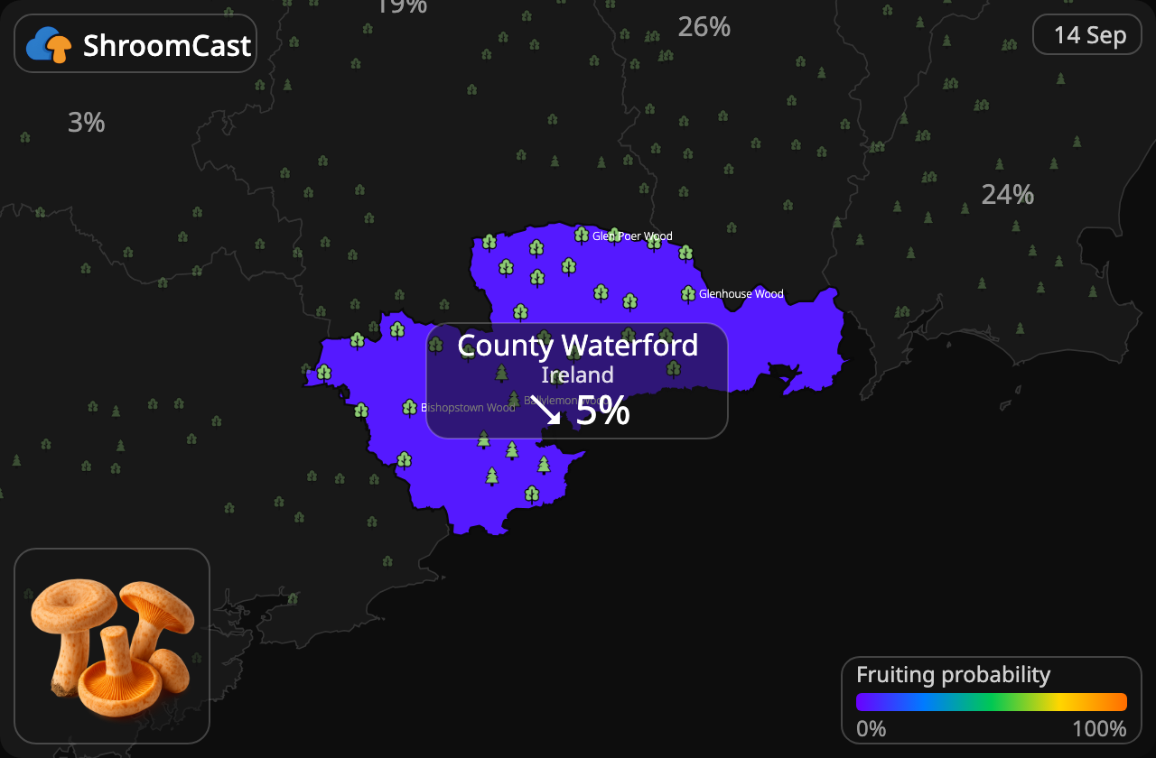 Saffron County Waterford