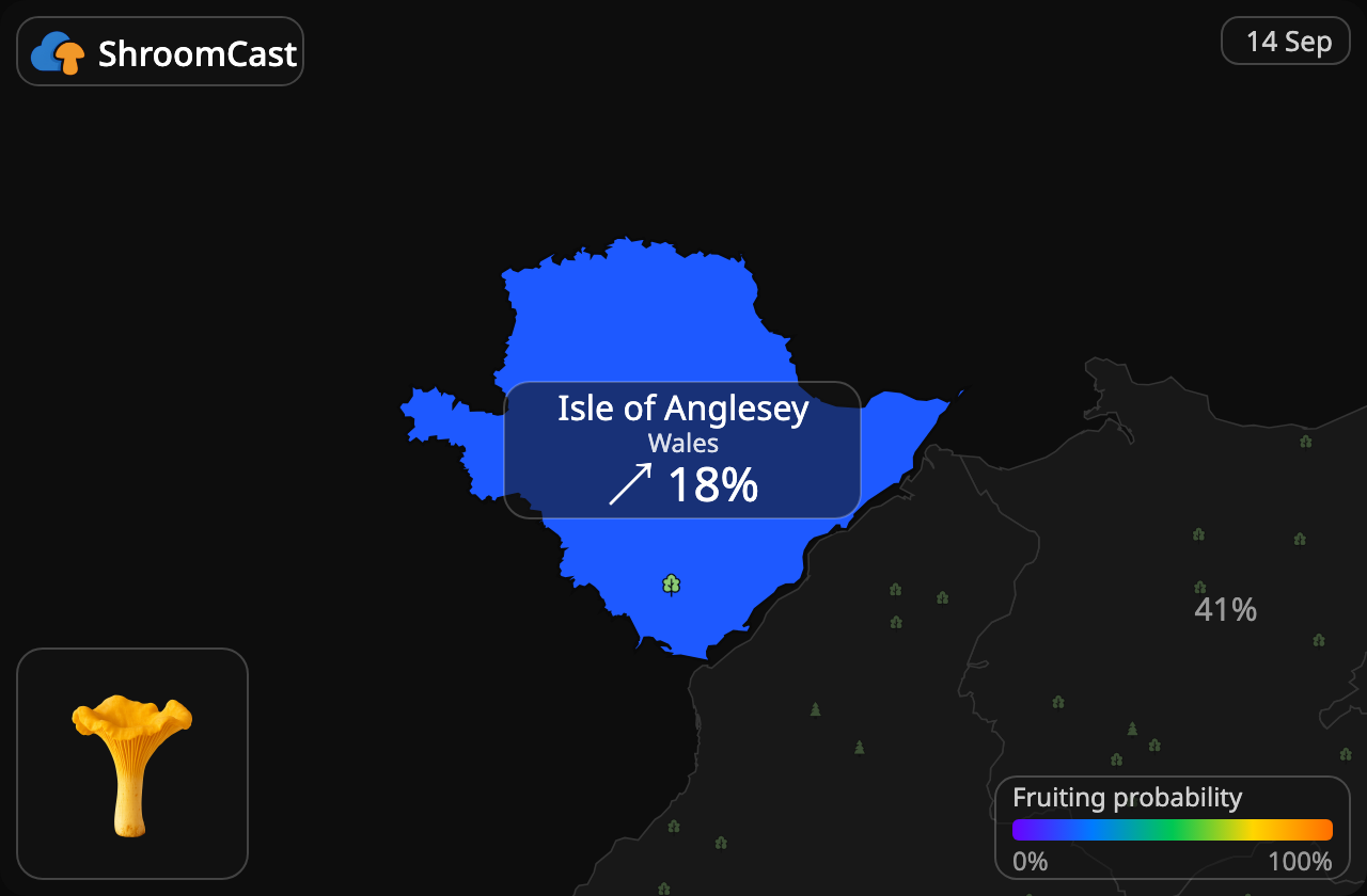Finferlo Isle of Anglesey