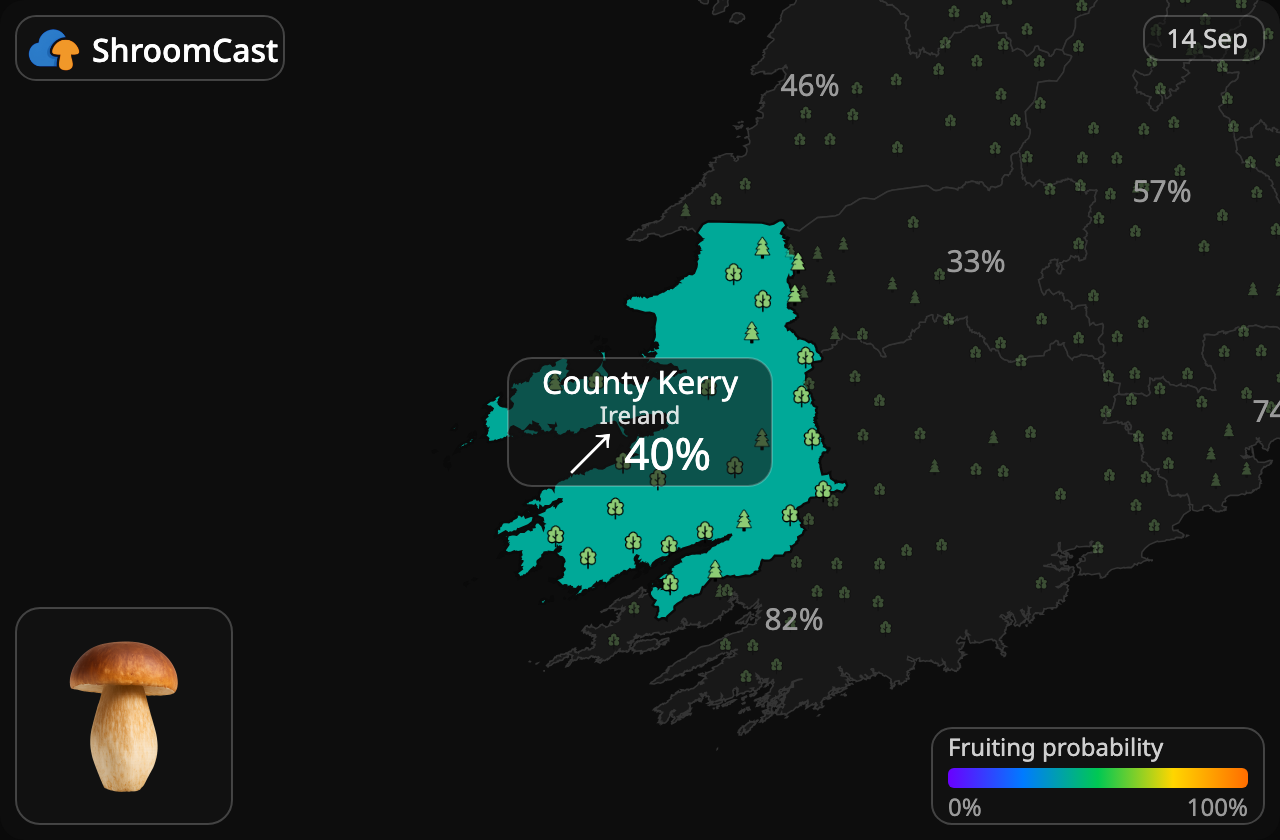 Cèpe County Kerry