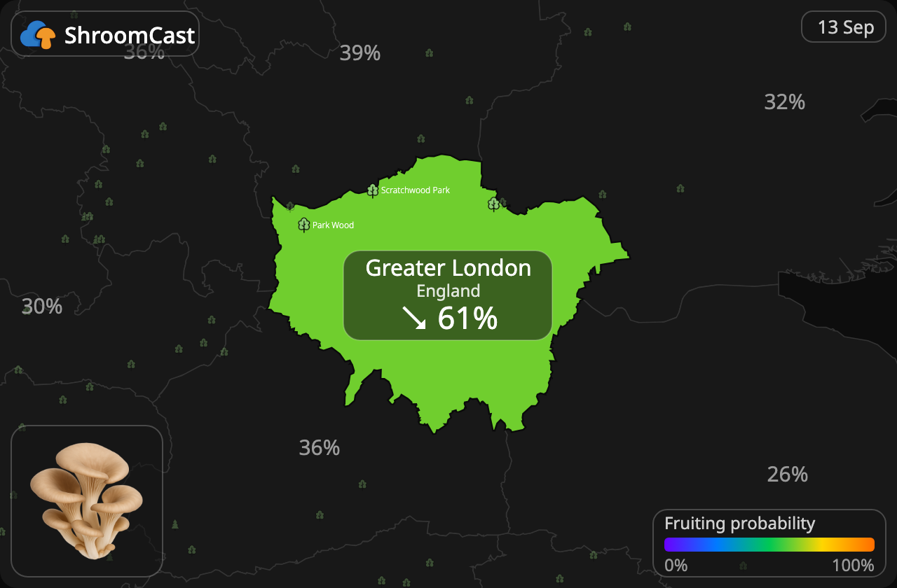Oyster Greater London