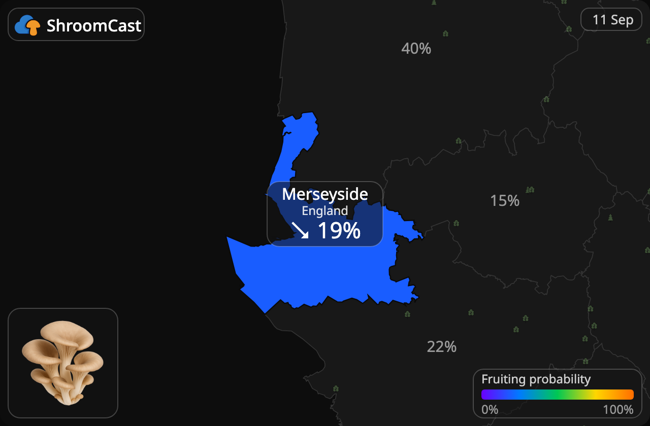 Orecchione Merseyside