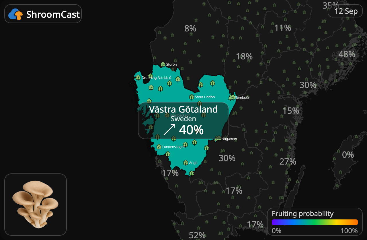 Oesterzwam Västra Götaland