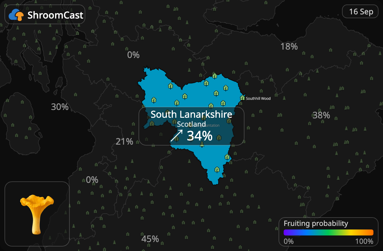 Kurka South Lanarkshire