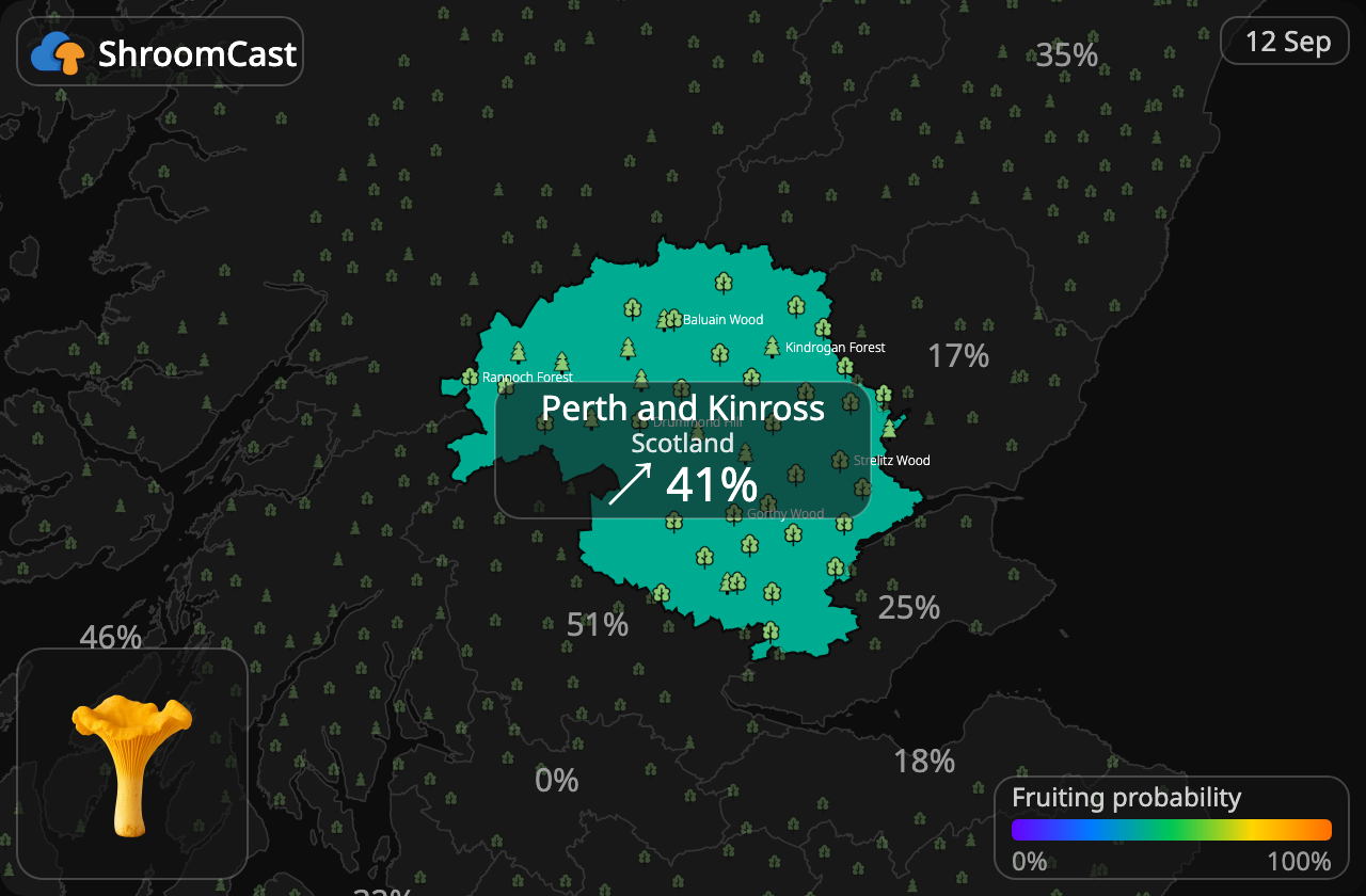 Girolle Perth and Kinross