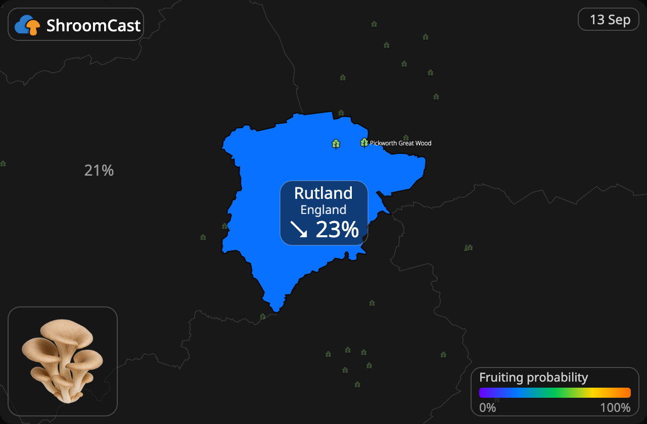 Østershat Rutland