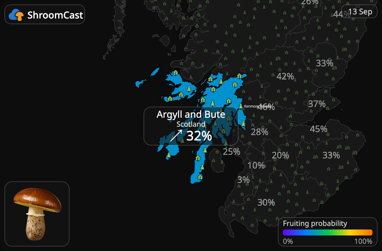 Voitatti Argyll and Bute