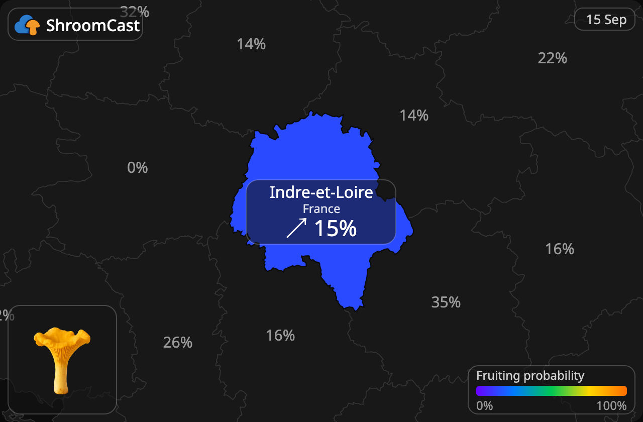 Kantarell Indre-et-Loire