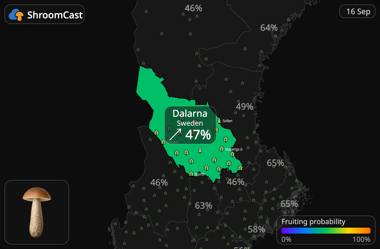 Koźlarz Dalarna