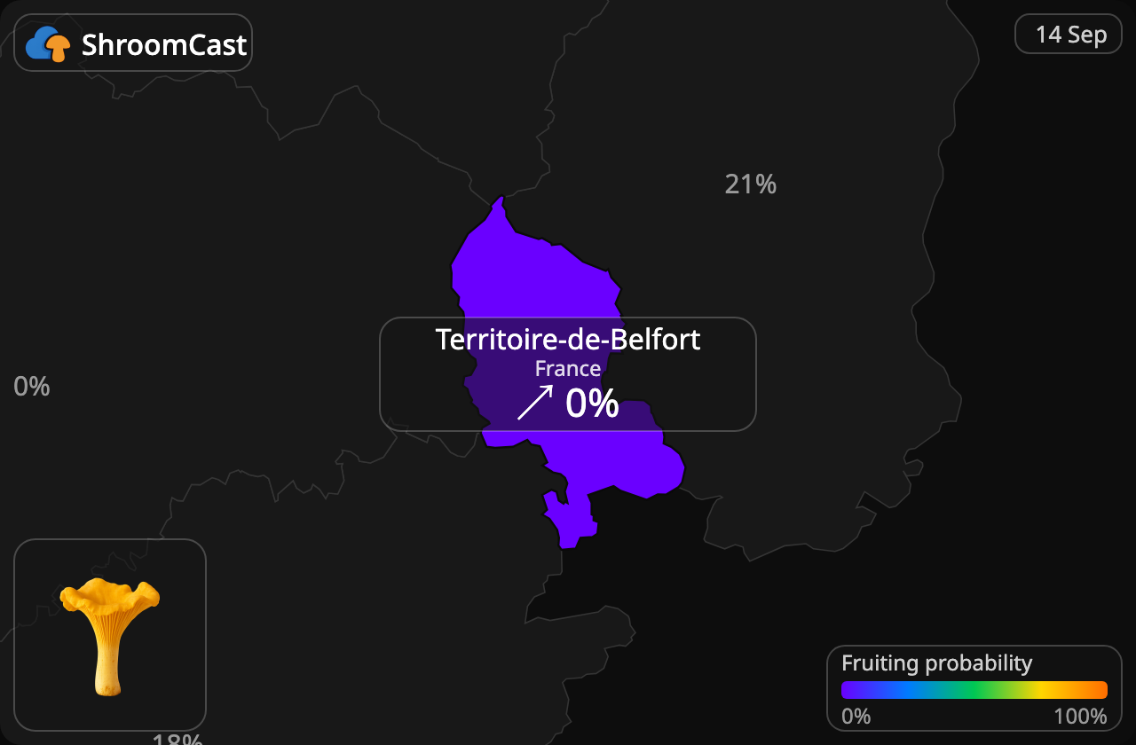 Kantarell Territoire-de-Belfort