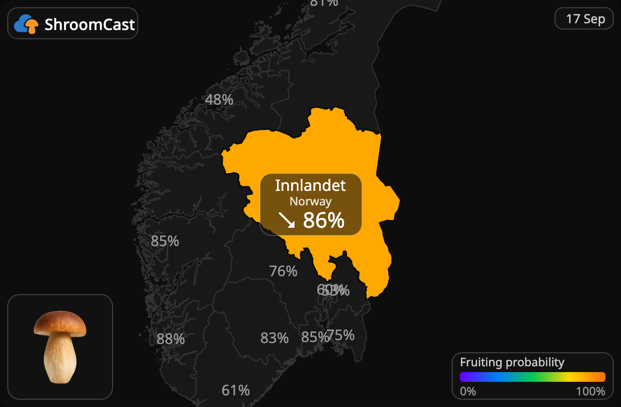 Herkkutatti Innlandet