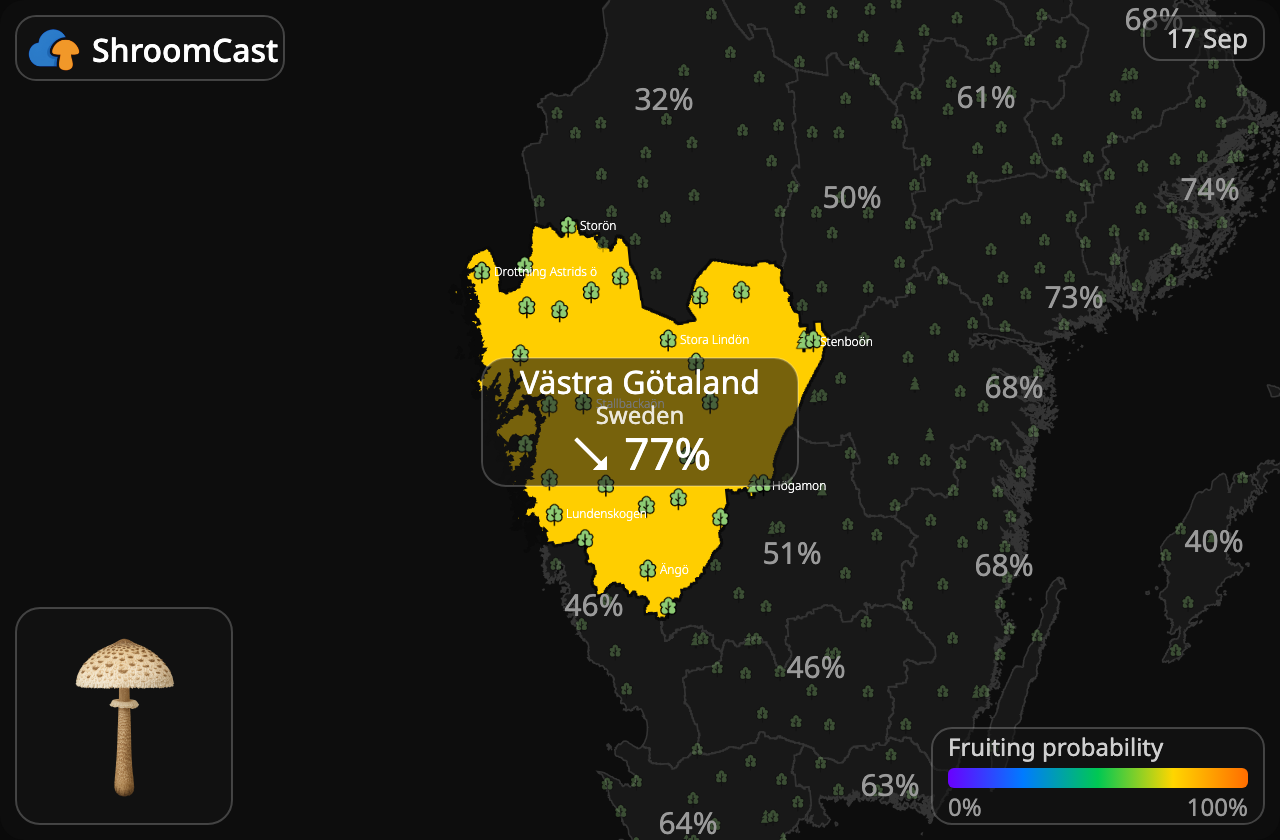 Parasol Västra Götaland