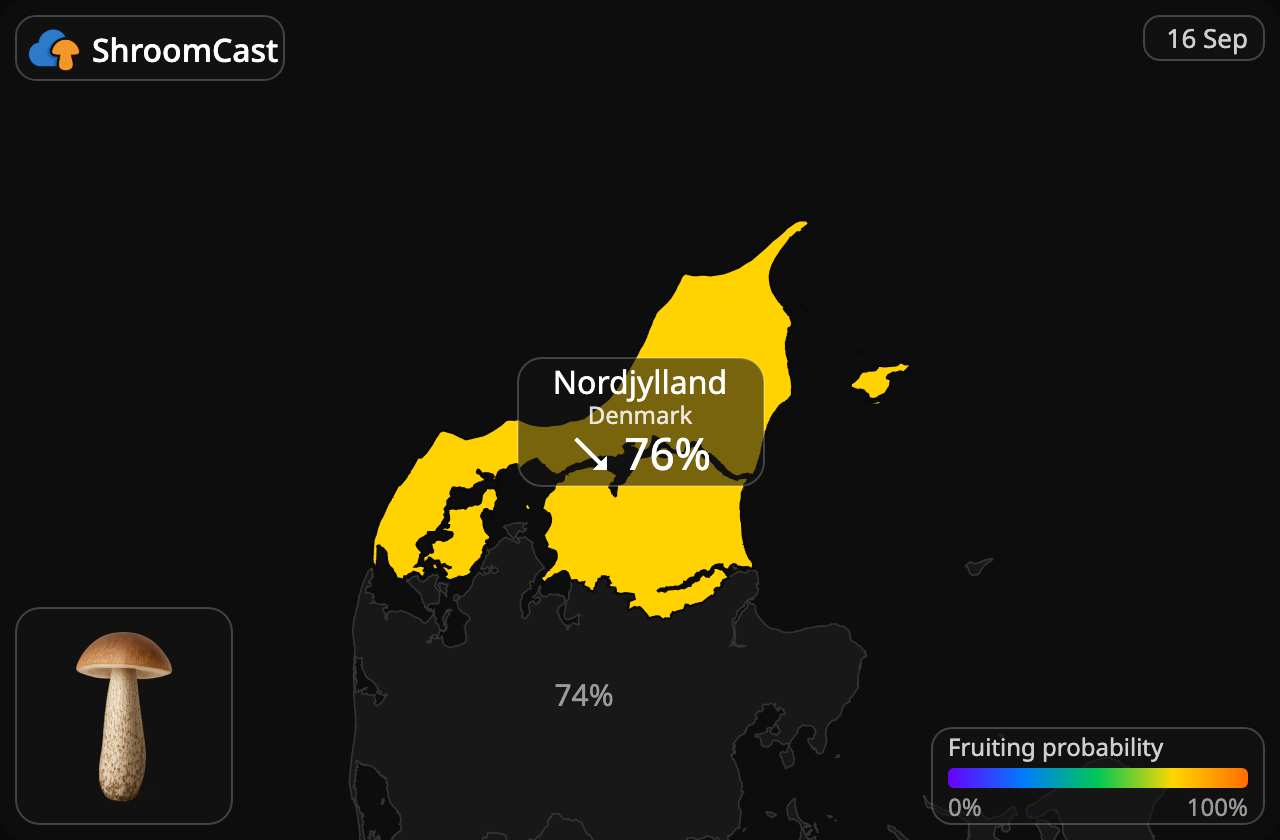 Birkerørhat Nordjylland