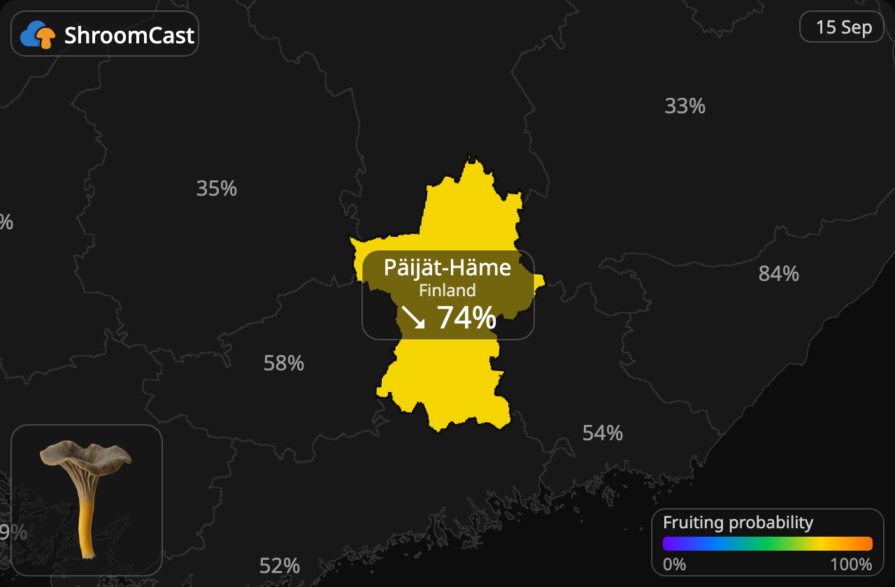 Trompetenpfifferling Päijät-Häme