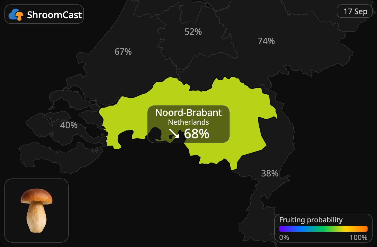 Karljohan Noord-Brabant