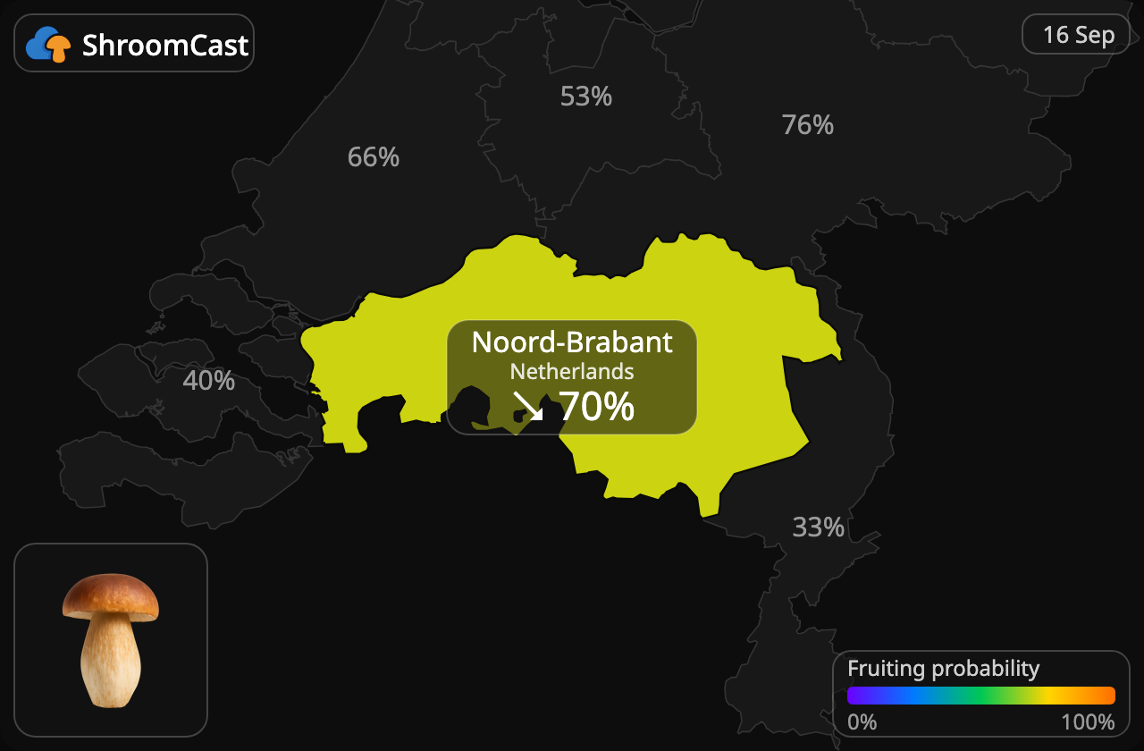 Eekhoorntjesbrood Noord-Brabant