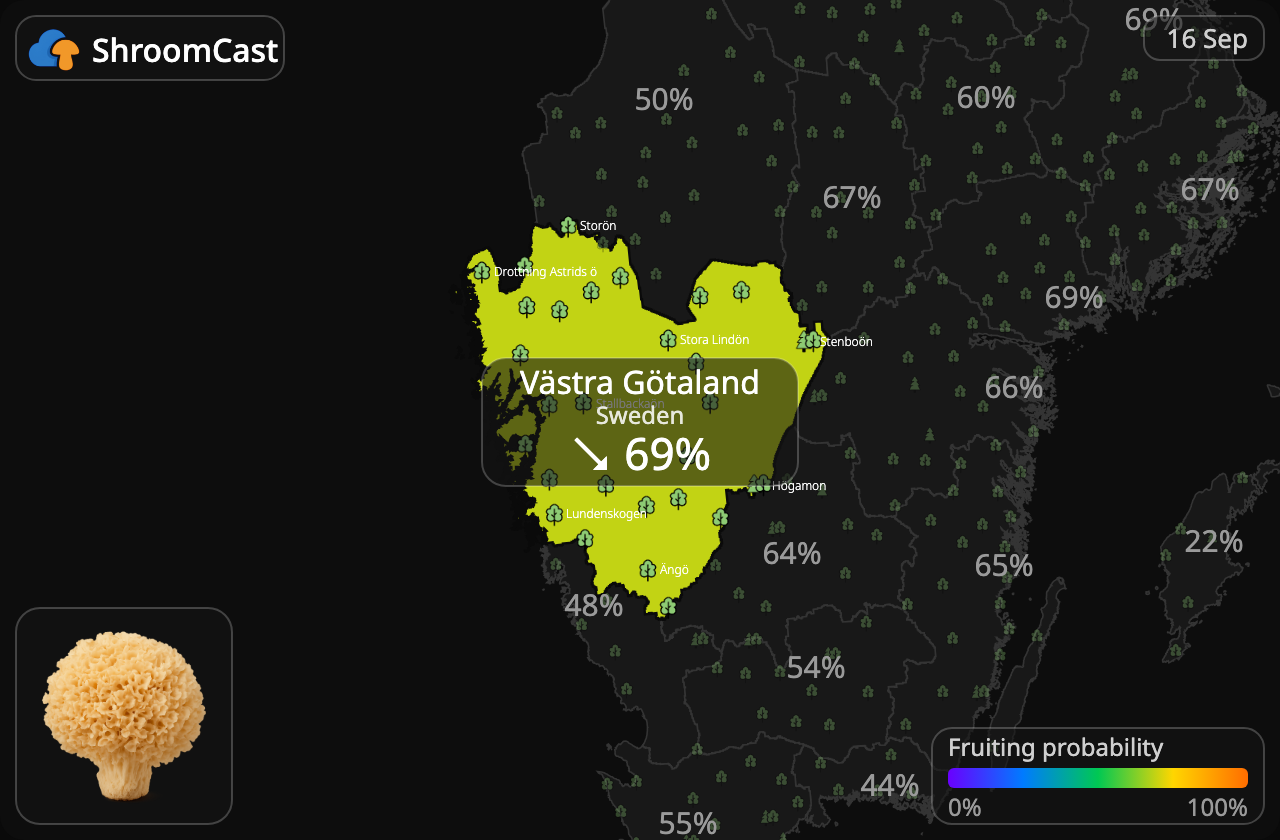 Kurttusieni Västra Götaland