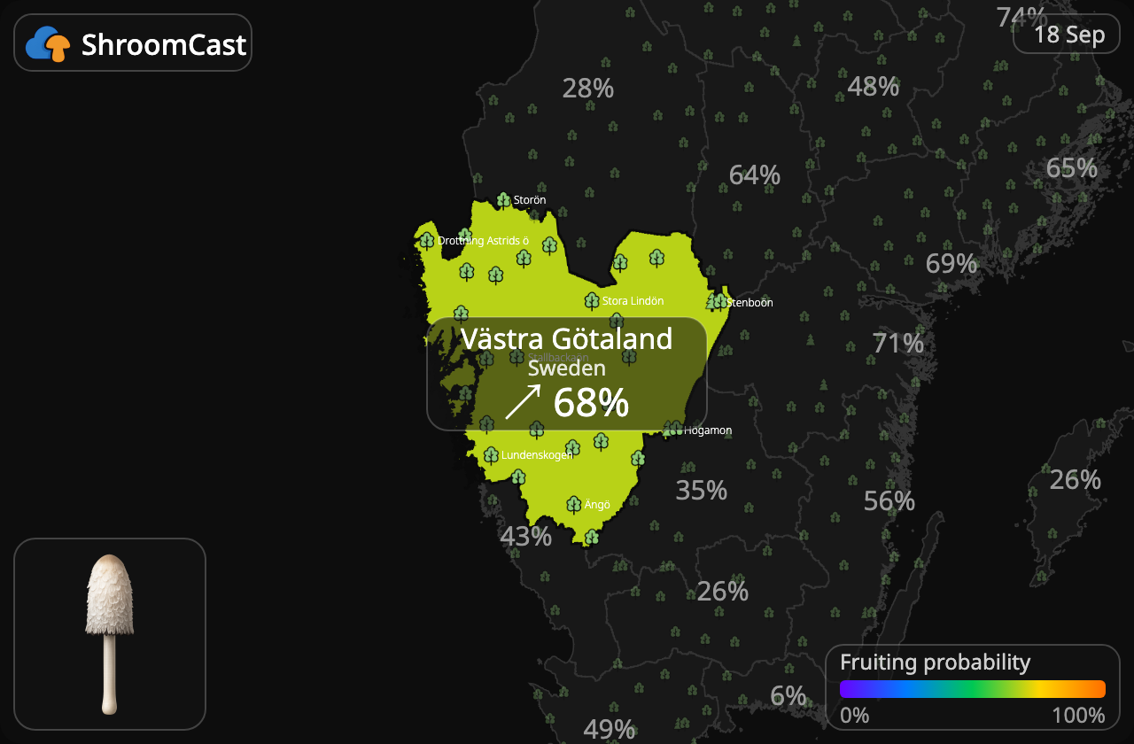 Fjällig bläcksvamp Västra Götaland