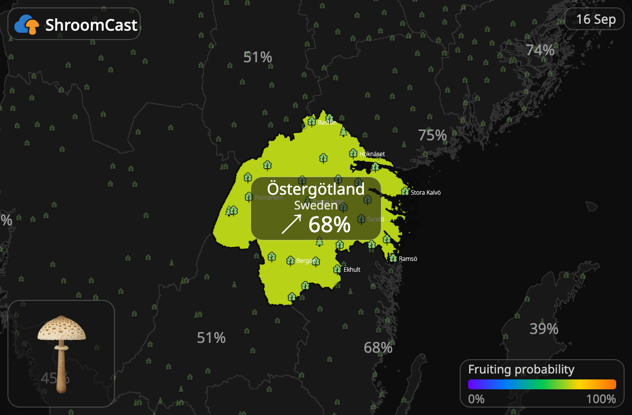 Ukonsieni Östergötland