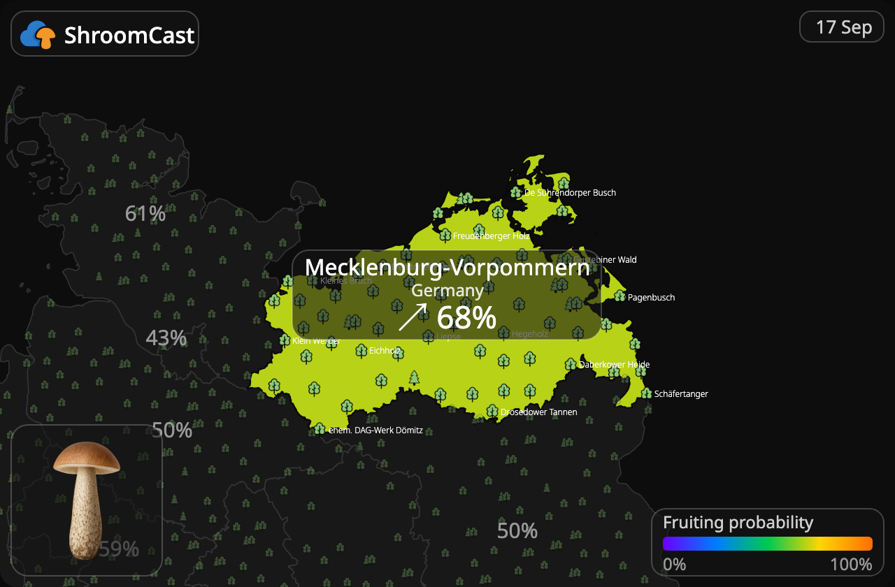 Lehmäntatti Mecklenburg-Vorpommern