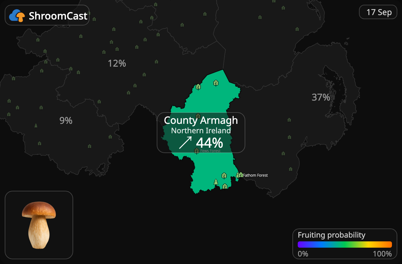 Karl Johan County Armagh