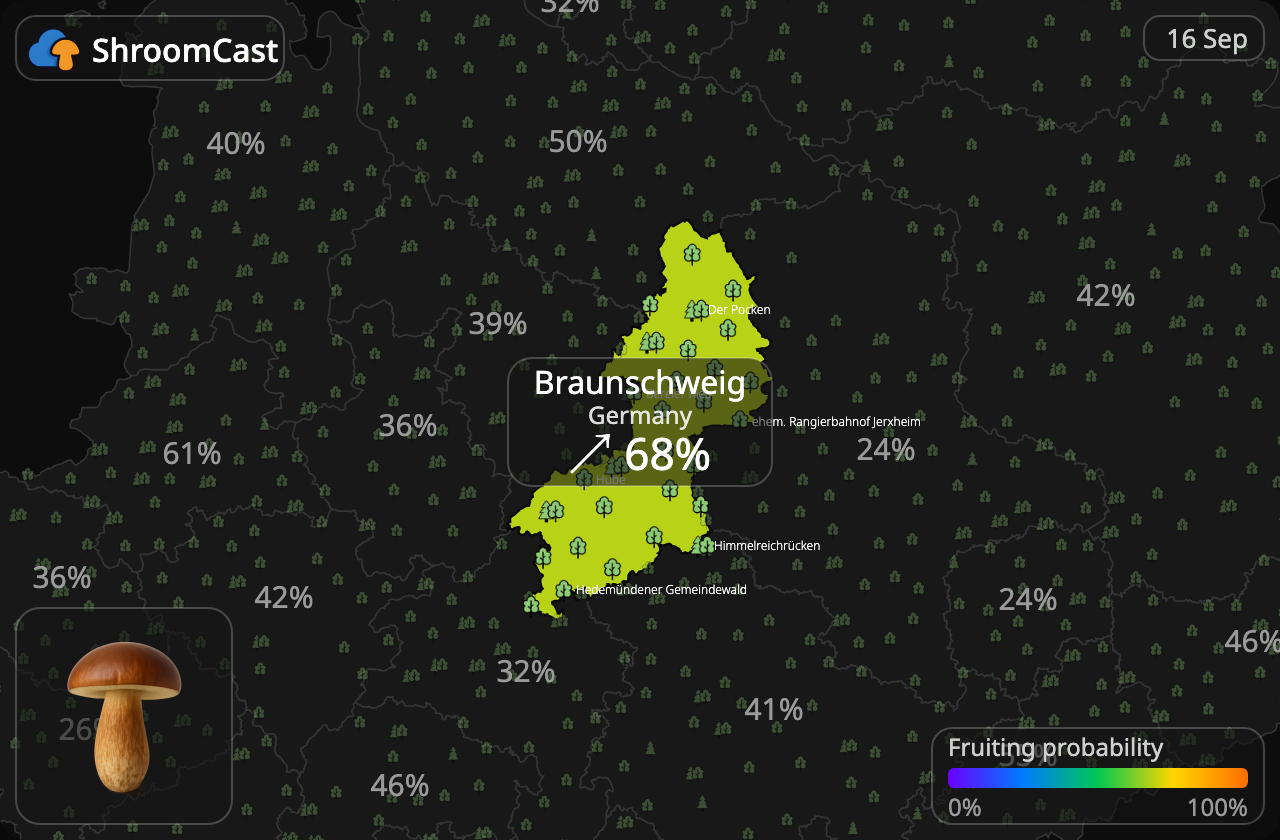 Brunsopp Braunschweig