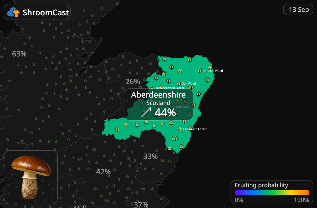 Voitatti Aberdeenshire