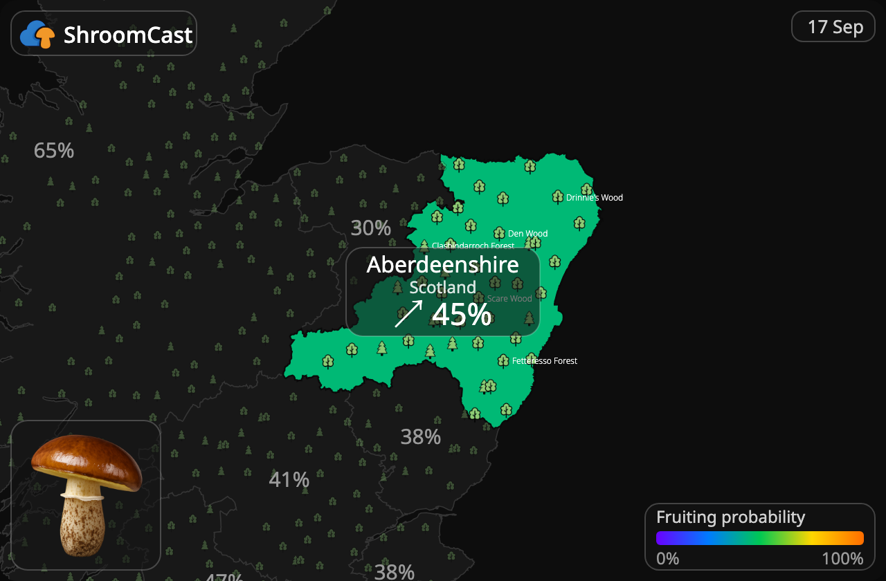 Maślak Aberdeenshire