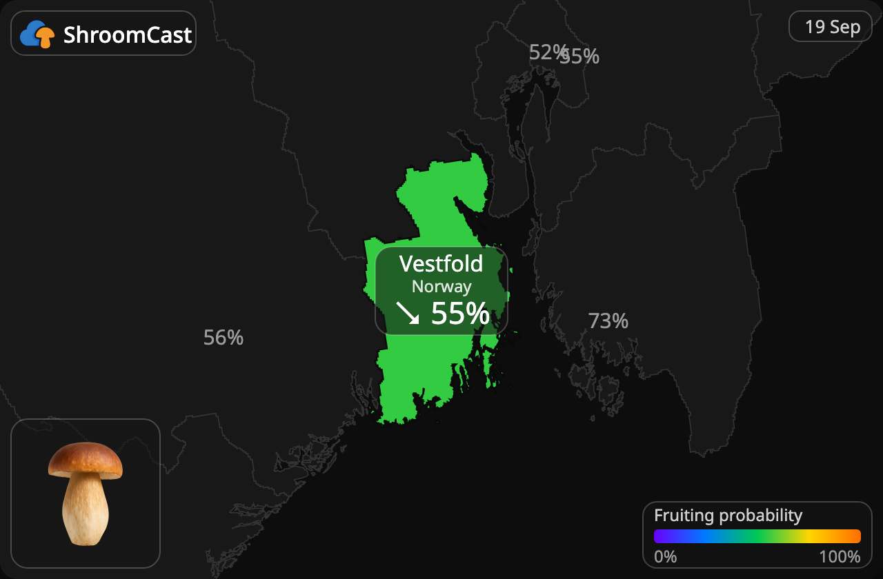 Karl Johan Vestfold