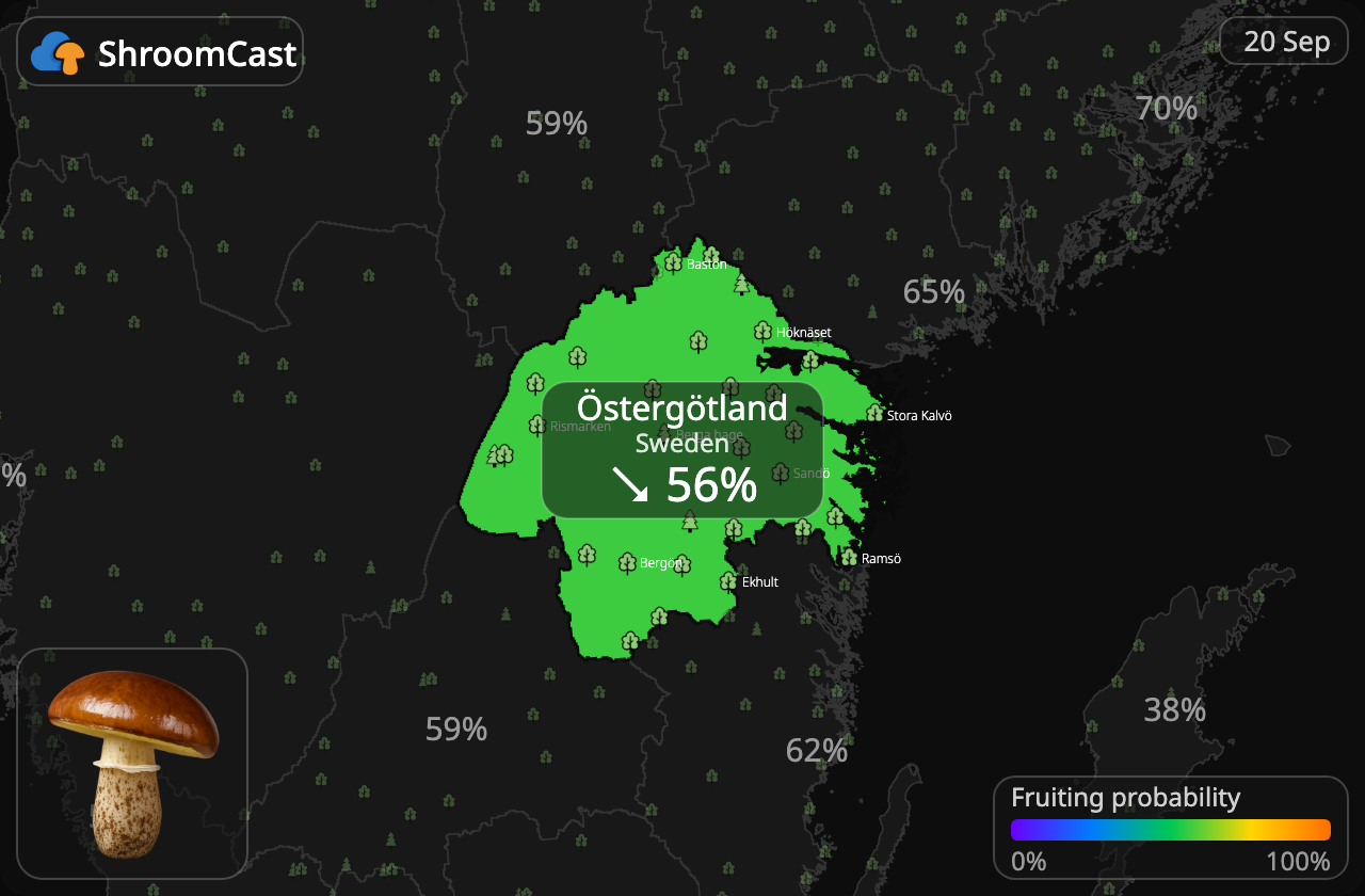 Voitatti Östergötland