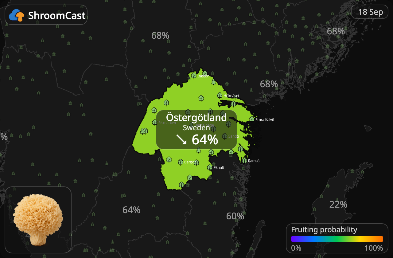 Grote sponszwam Östergötland