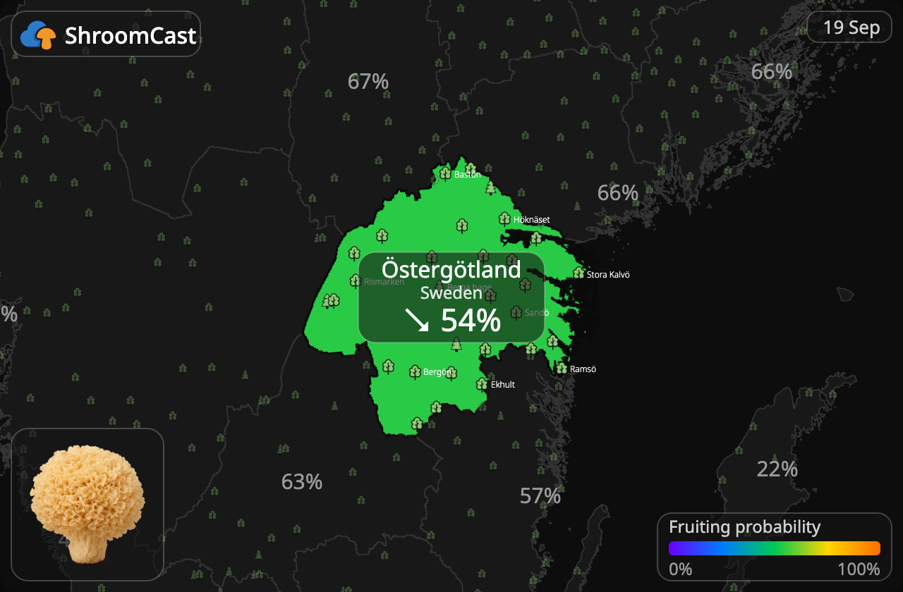 Grote sponszwam Östergötland