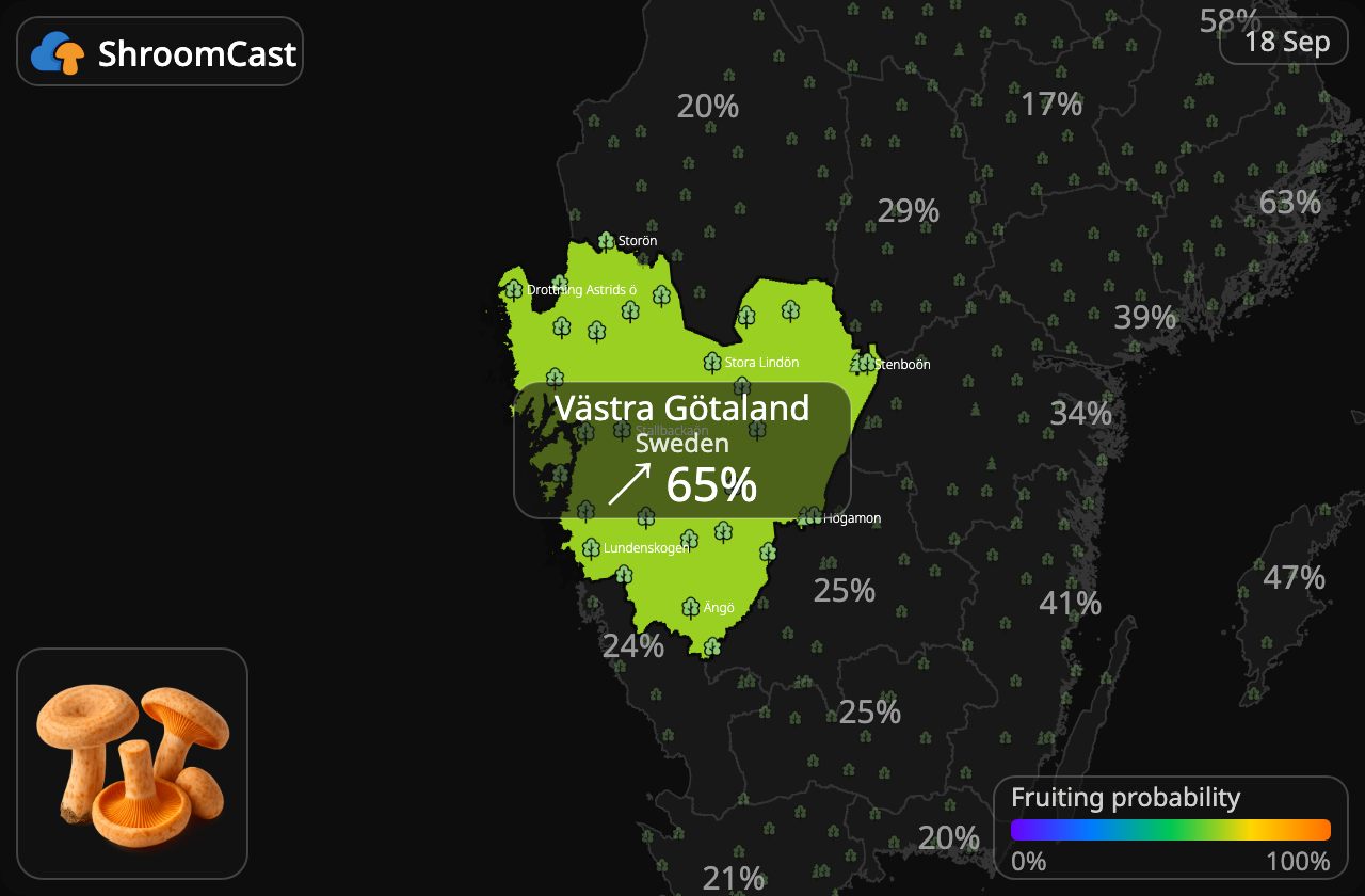 Rydz Västra Götaland