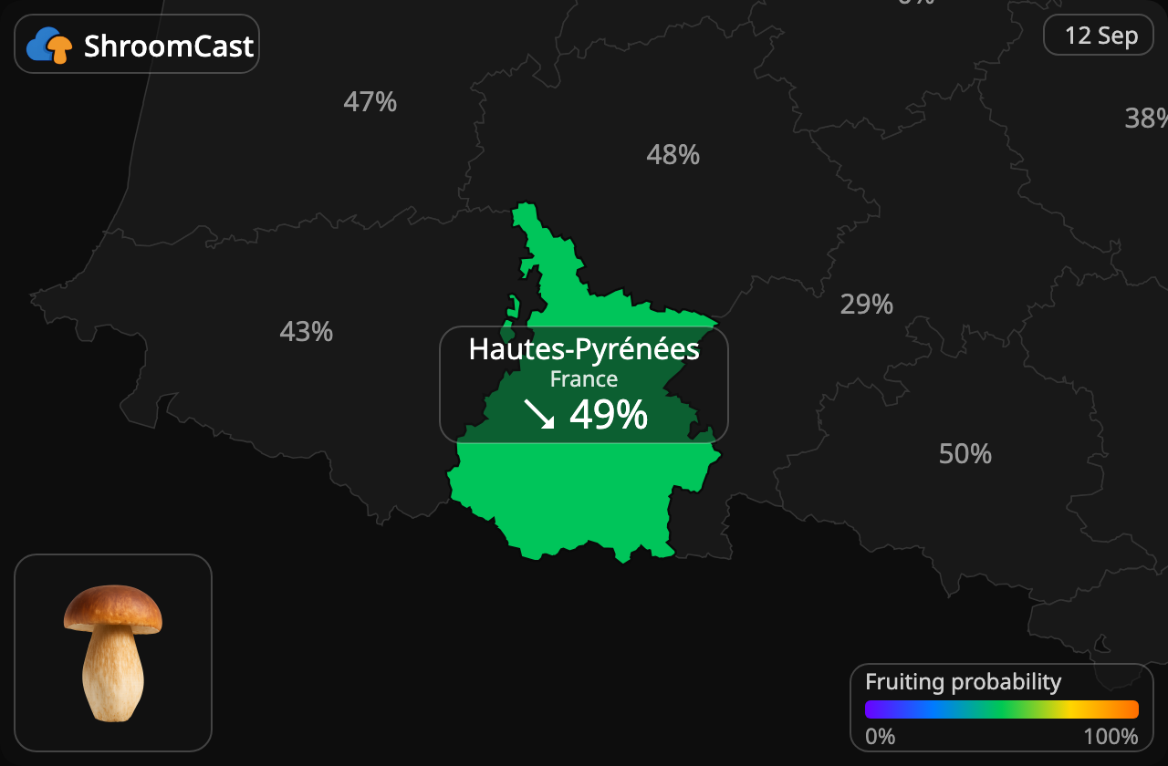 Herkkutatti Hautes-Pyrénées