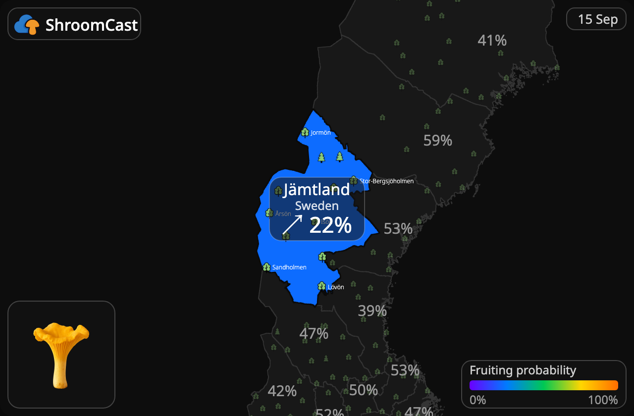 Лисичка звичайна Jämtland