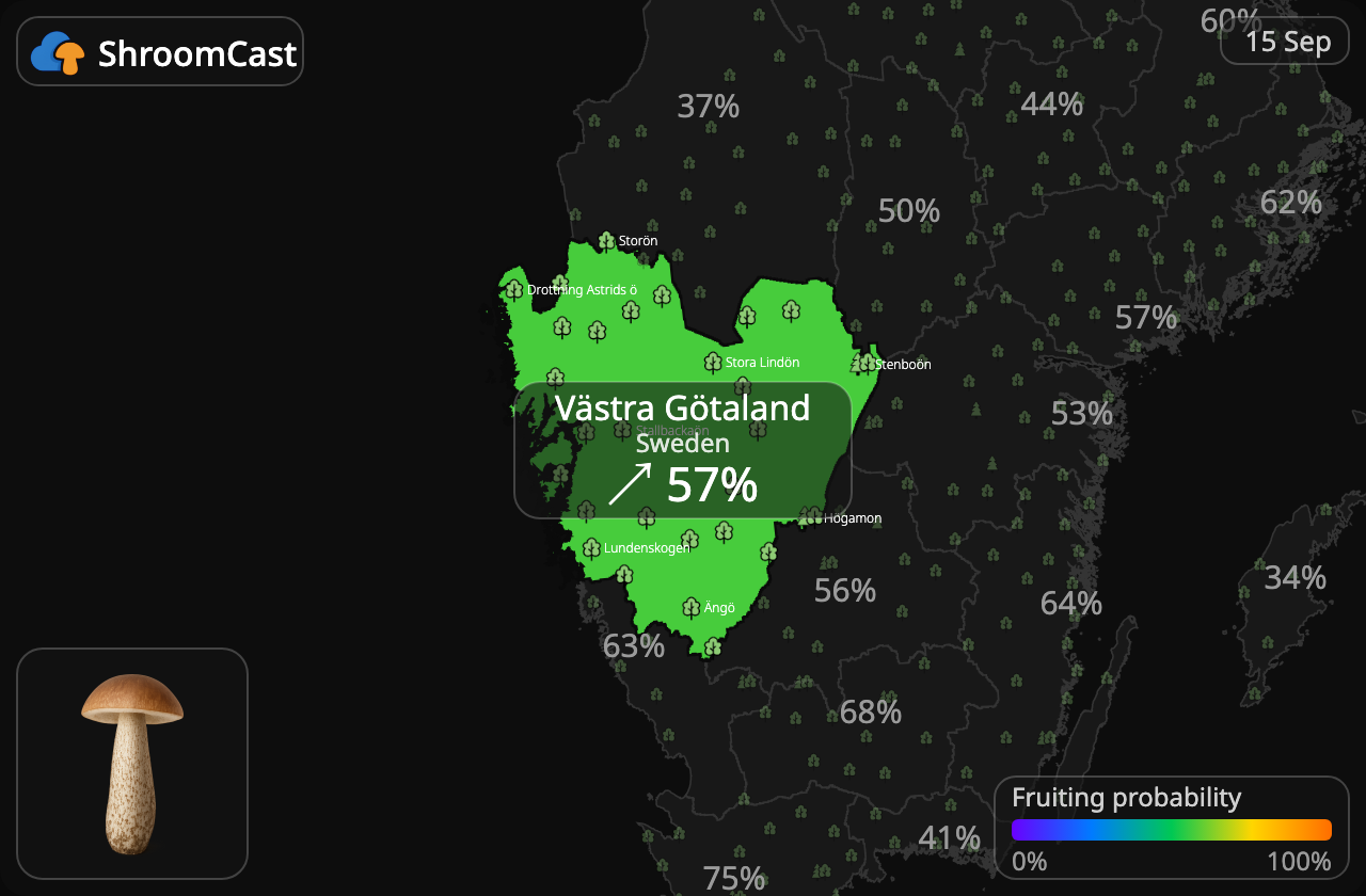 Koźlarz Västra Götaland