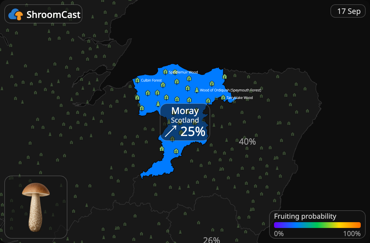 Koźlarz Moray
