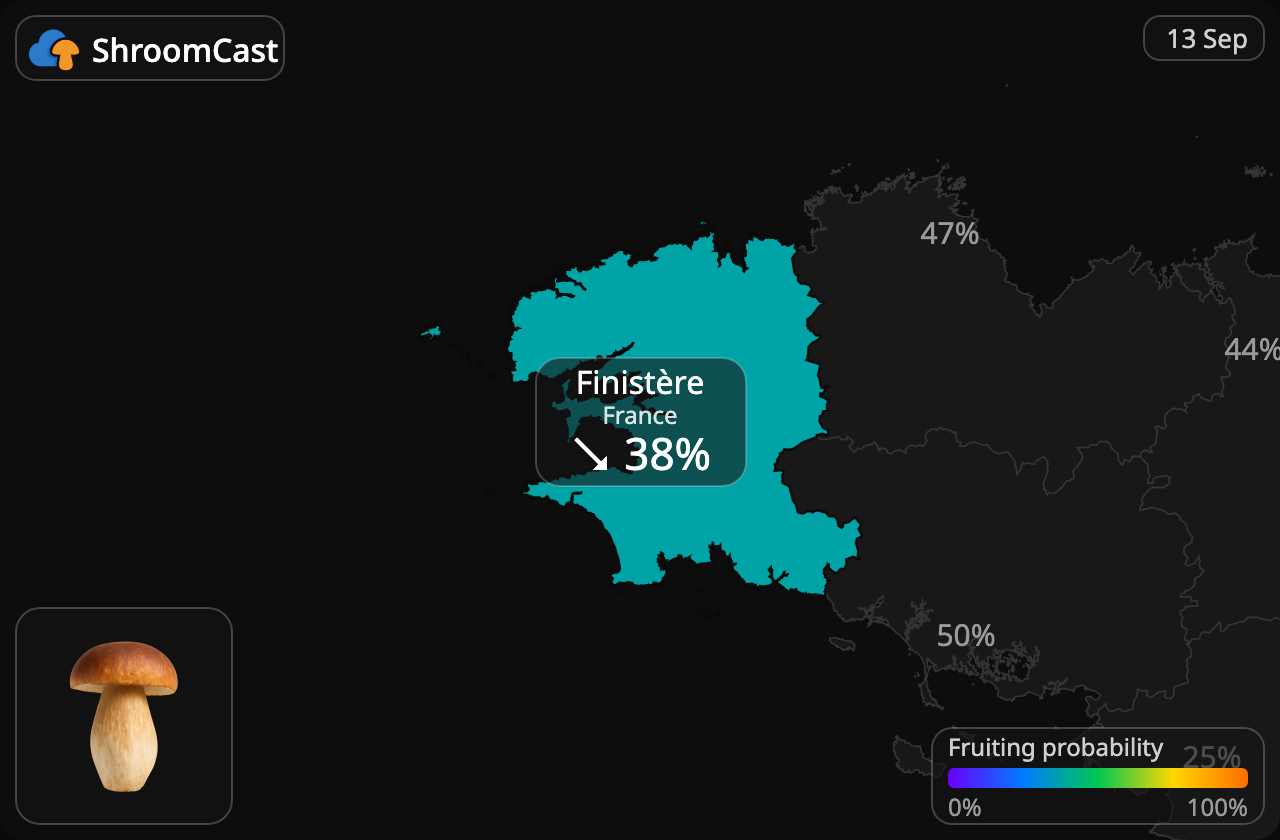 Karljohan Finistère
