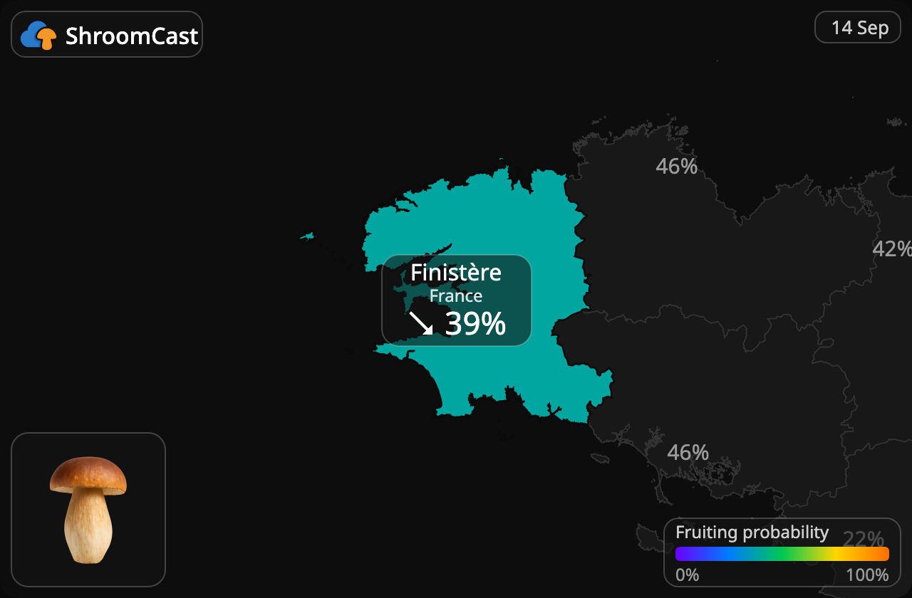 Karl Johan Finistère
