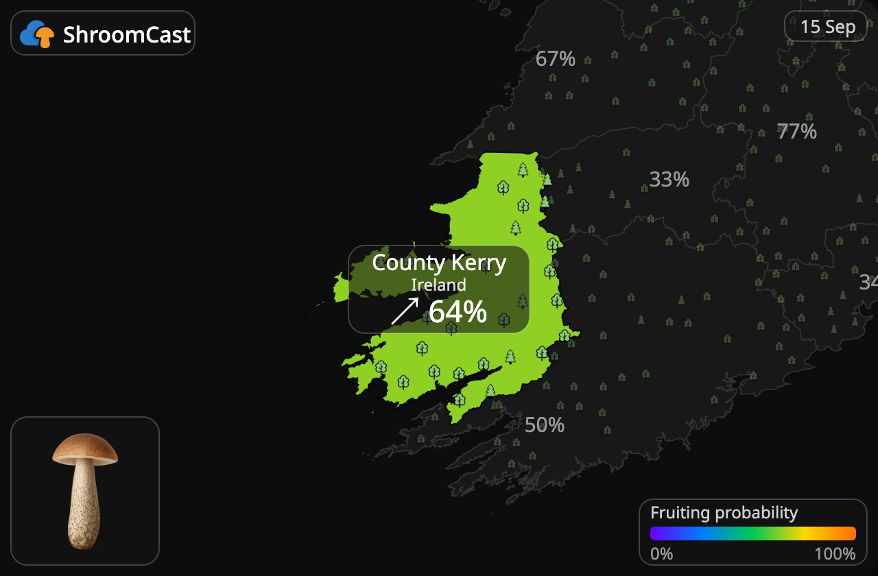Koźlarz County Kerry
