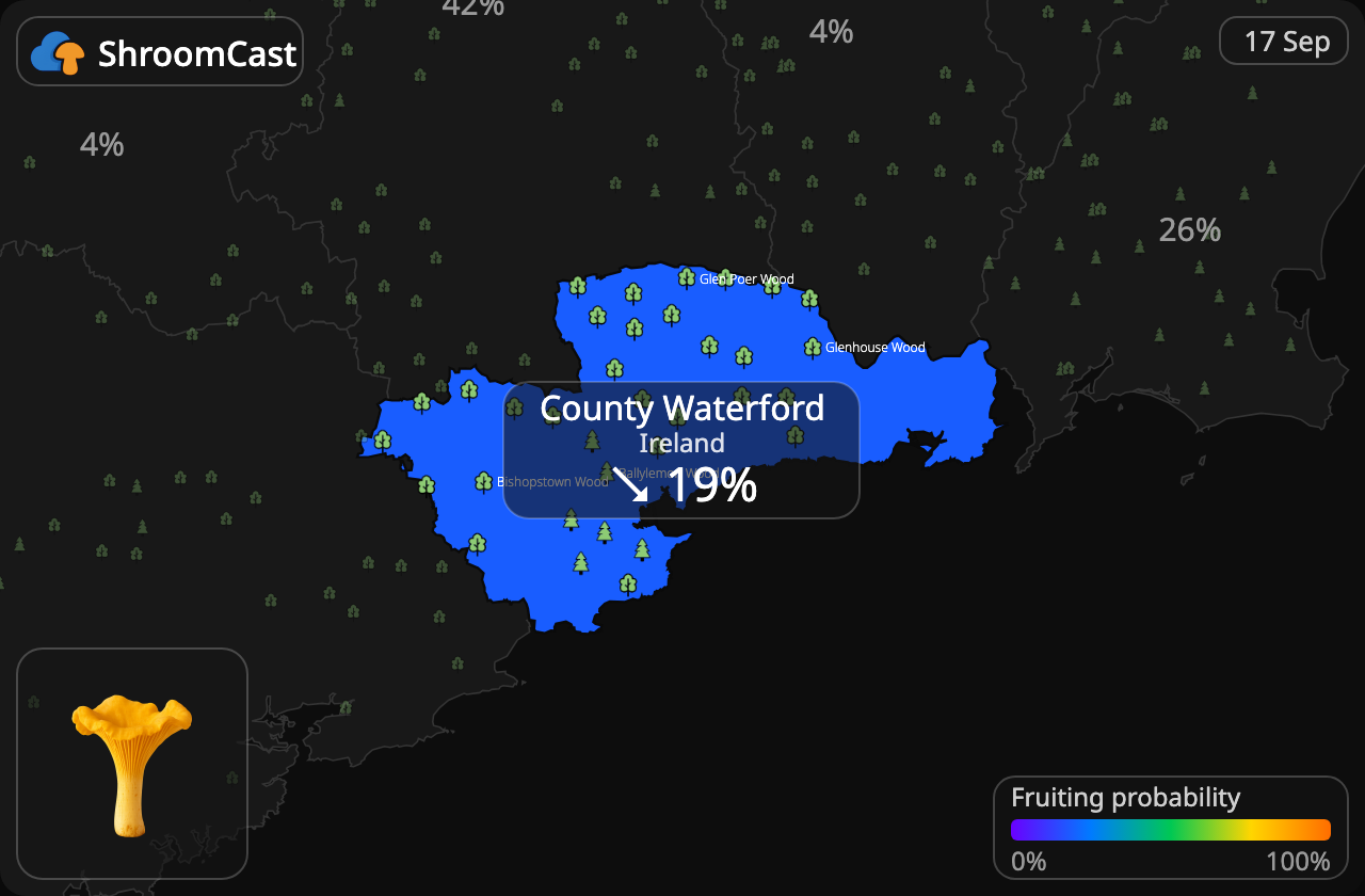 Kurka County Waterford