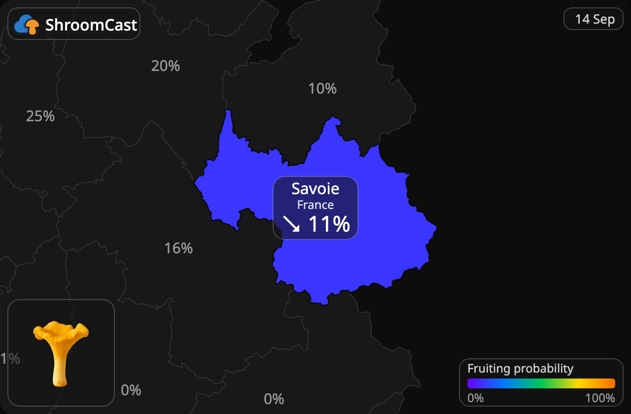 Kantarell Savoie
