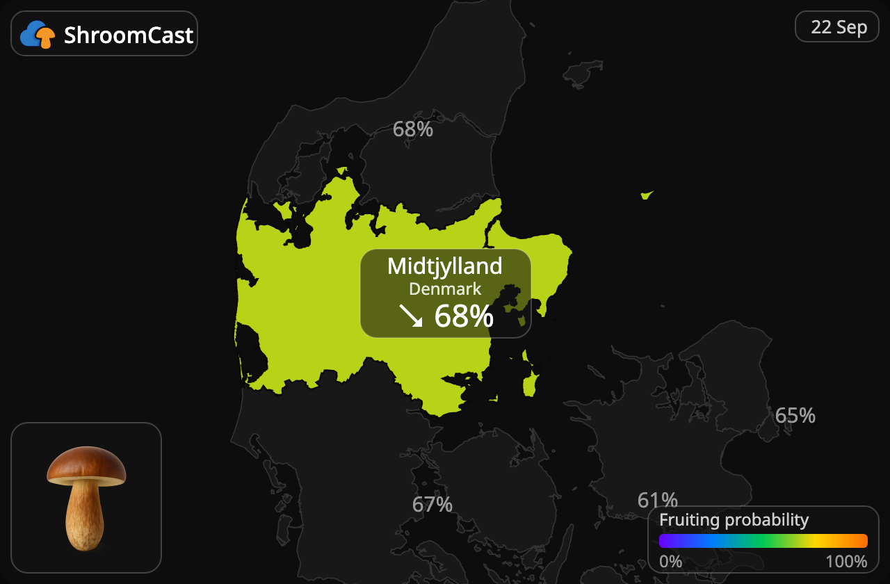 Bolet bai Midtjylland