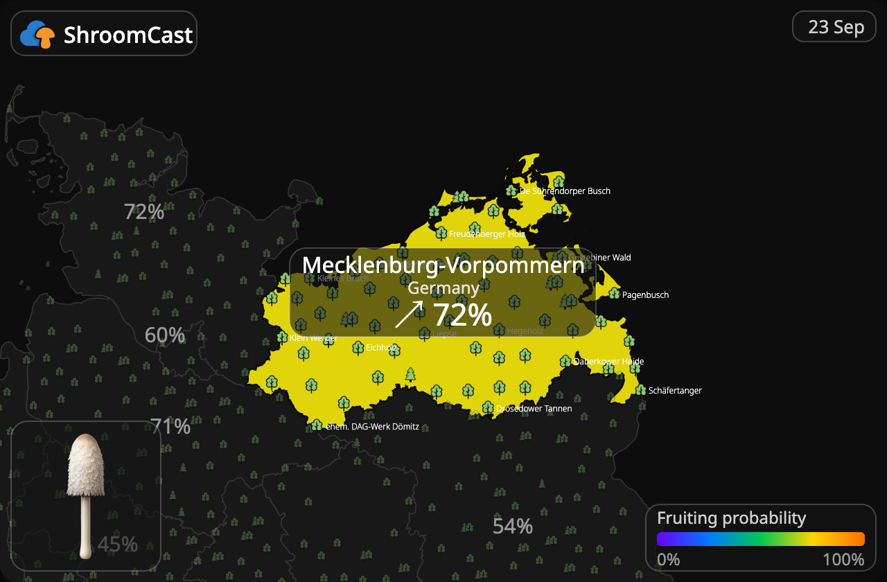 Schopftintling Mecklenburg-Vorpommern