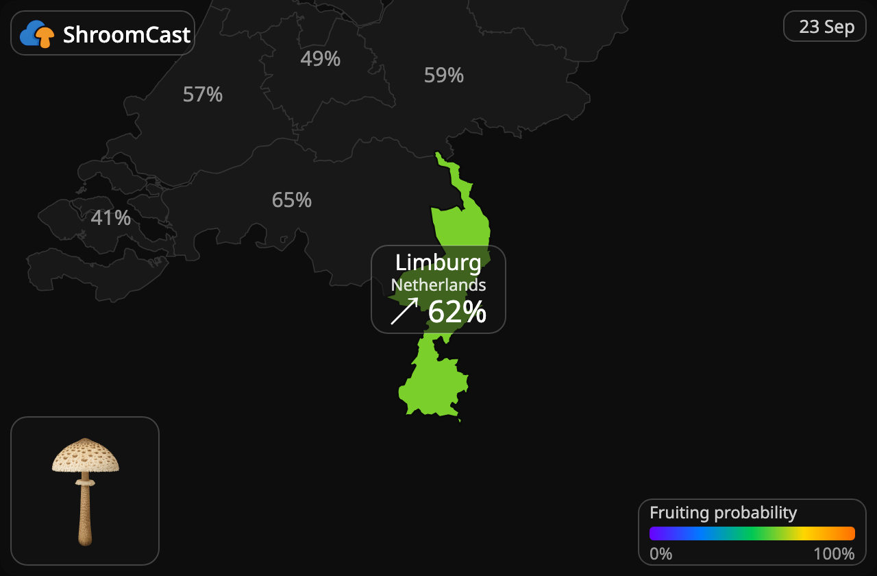 Coulemelle Limburg