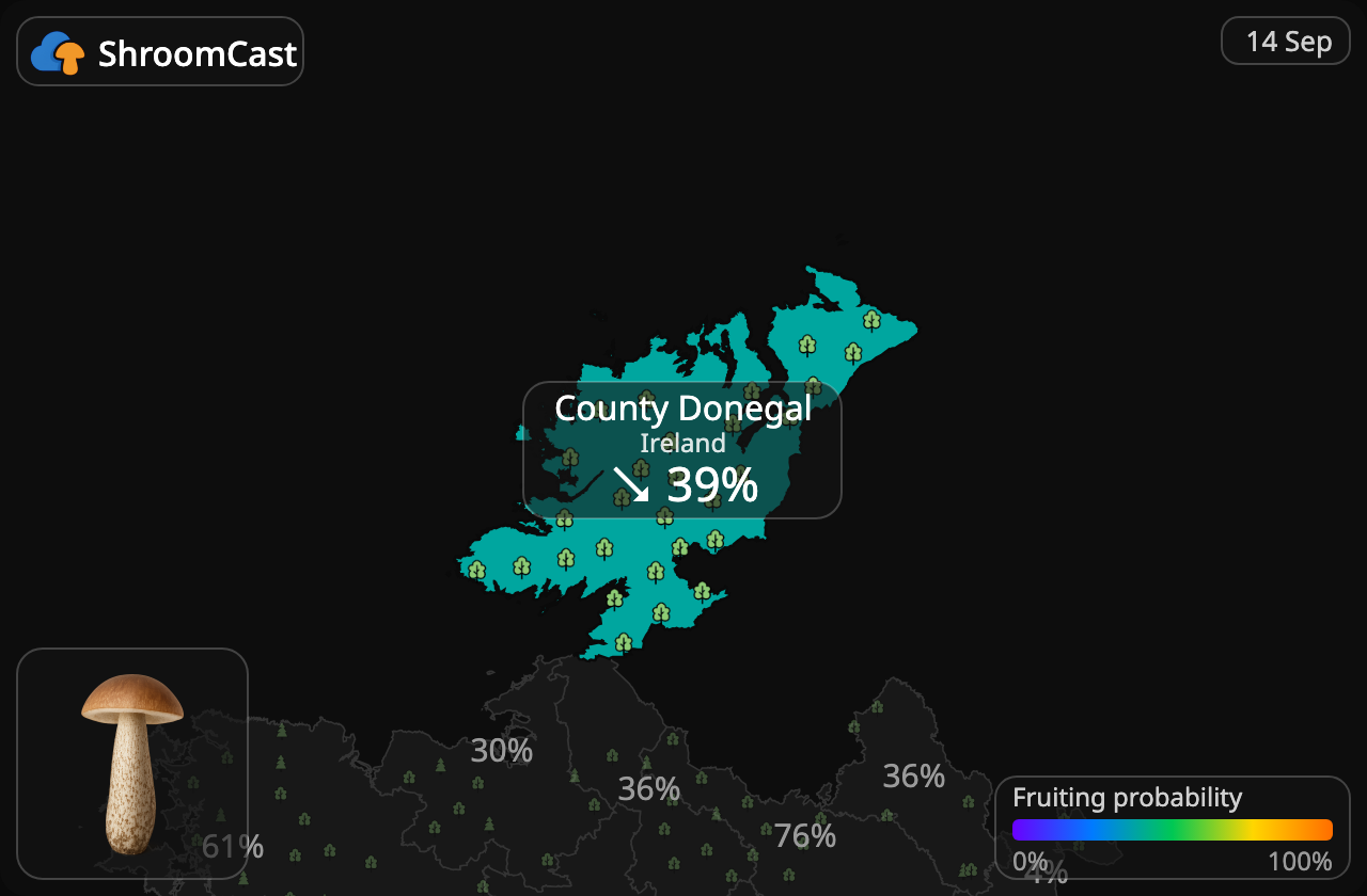 Brunskrubb County Donegal